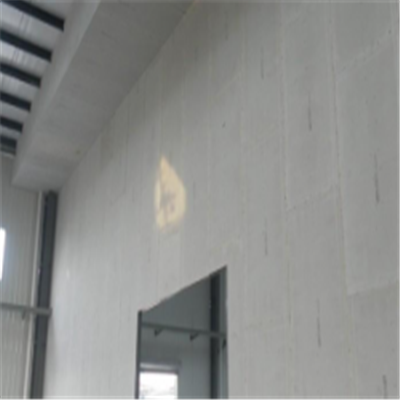 苍南宁波ALC板|EPS加气板隔墙与混凝土整浇联接的实验研讨